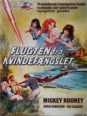 Thunder County - Danish Movie Poster (thumbnail)