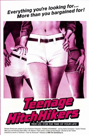 Teenage Hitchhikers - DVD movie cover (thumbnail)
