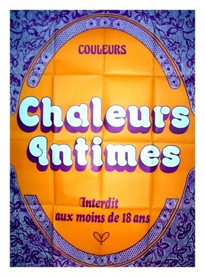 Chaleurs intimes - French Movie Poster (thumbnail)