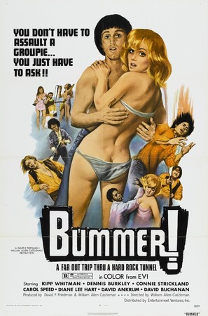 Bummer - Movie Poster (thumbnail)