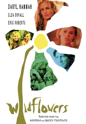 Wildflowers - DVD movie cover (thumbnail)
