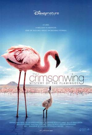 The Crimson Wing: Mystery of the Flamingos - Movie Poster (thumbnail)