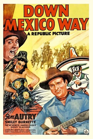 Down Mexico Way - Movie Poster (thumbnail)