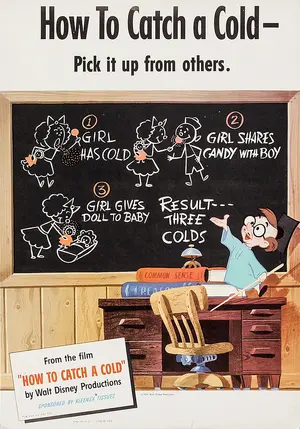 How to Catch a Cold Poster