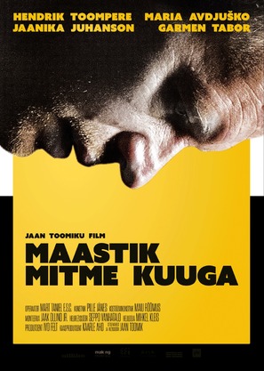 Maastik mitme kuuga - Estonian Movie Poster (thumbnail)