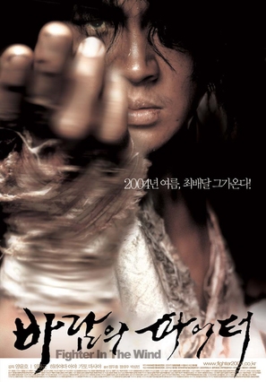 Baramui Fighter - South Korean Movie Poster (thumbnail)