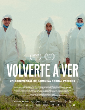 Volverte a Ver - Mexican Movie Poster (thumbnail)