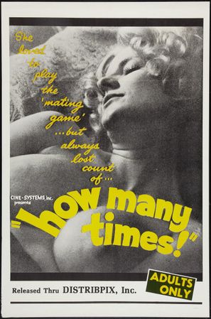 How Many Times - Movie Poster (thumbnail)