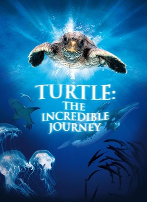 Turtle: The Incredible Journey - Movie Poster (thumbnail)