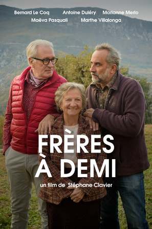 Fr&egrave;res &agrave; demi - French Movie Poster (thumbnail)