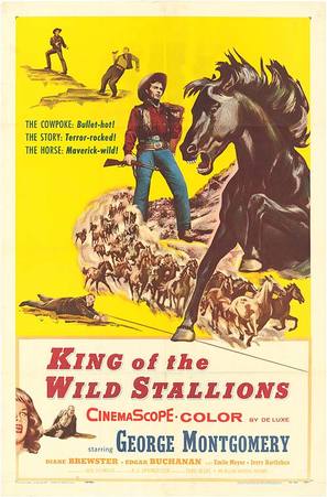 King of the Wild Stallions - Movie Poster (thumbnail)
