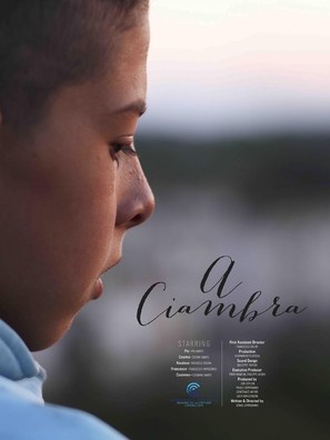 A Ciambra - French Movie Poster (thumbnail)