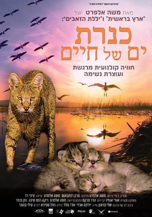 Kinneret: Sea of Life - Israeli Movie Poster (thumbnail)