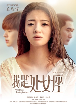 Perfect Imperfection - Chinese Movie Poster (thumbnail)