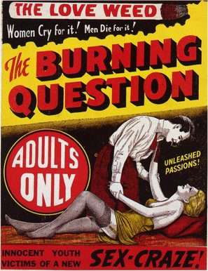 The Burning Question - Movie Poster (thumbnail)