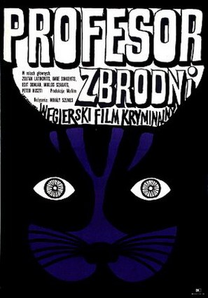 &Eacute;rik a f&eacute;ny - Polish Movie Poster (thumbnail)
