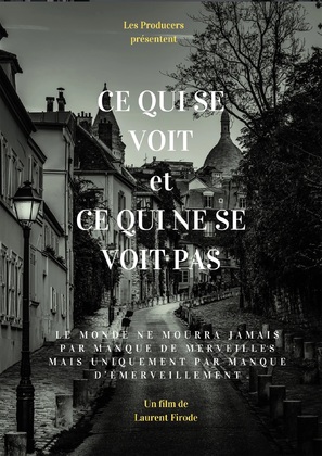 Ce qui se voit et ce qui ne se voit pas - French Movie Poster (thumbnail)