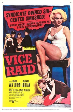 Vice Raid - Movie Poster (thumbnail)