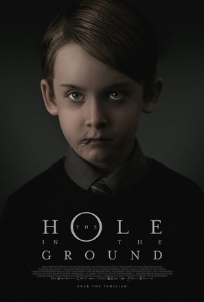 The Hole in the Ground - Irish Movie Poster (thumbnail)