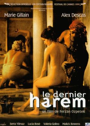 Harem suare - French Movie Poster (thumbnail)