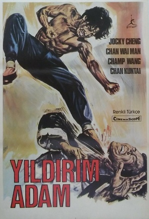 Jaam sau ji - Turkish Movie Poster (thumbnail)