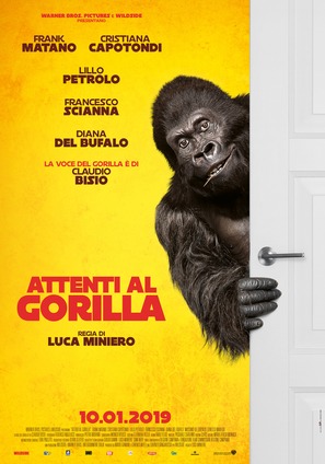 Attenti al gorilla
