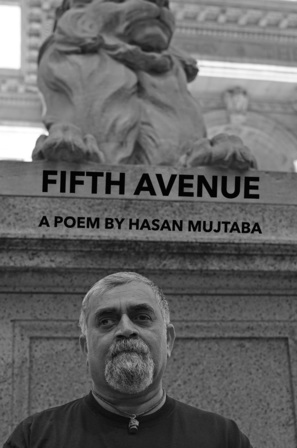 Fifth Avenue: A Poem By Hasan Mujtaba - DVD movie cover (thumbnail)