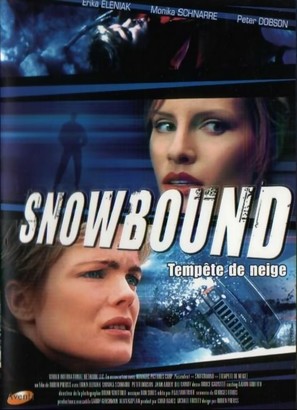 Snowbound - French DVD movie cover (thumbnail)