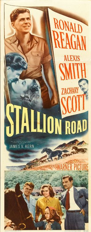 Stallion Road - Movie Poster (thumbnail)