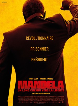 Mandela: Long Walk to Freedom - French Movie Poster (thumbnail)