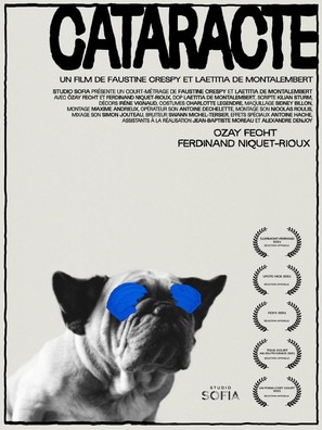 Cataracte - French Movie Poster (thumbnail)