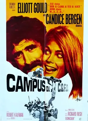 Getting Straight Poster