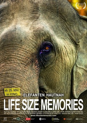 Life Size Memories - Austrian Movie Poster (thumbnail)