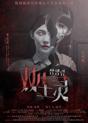 Twin Spirit - Chinese Movie Poster (thumbnail)