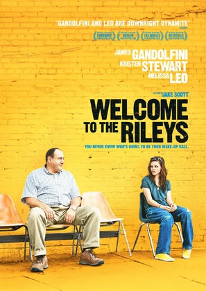 Welcome to the Rileys - DVD movie cover (thumbnail)