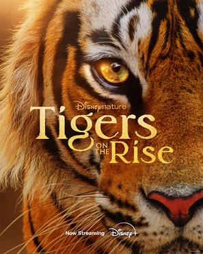 Tigers on the Rise - Movie Poster (thumbnail)