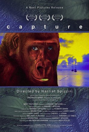 Capture - Movie Poster (thumbnail)