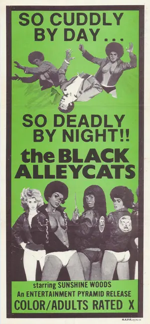 Black Alley Cats (1973) movie posters
