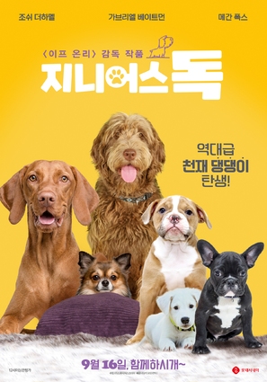 Think Like a Dog - South Korean Movie Poster (thumbnail)