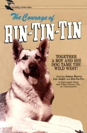 The Challenge of Rin Tin Tin - Movie Cover (thumbnail)