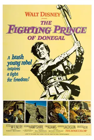 The Fighting Prince of Donegal Poster
