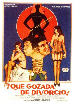 &iexcl;Qu&eacute; gozada de divorcio! - Spanish Movie Poster (thumbnail)