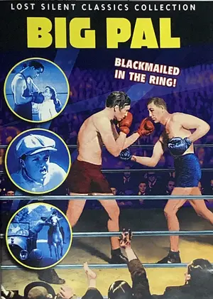 Big Pal Cover