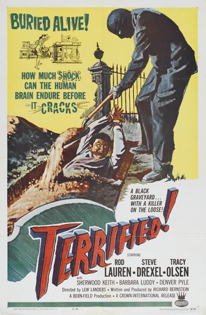 Terrified - Movie Poster (thumbnail)