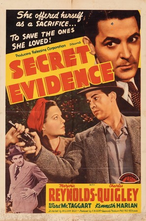 Secret Evidence - Movie Poster (thumbnail)