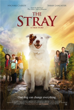 The Stray - Movie Poster (thumbnail)