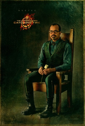 The Hunger Games: Catching Fire - Movie Poster (thumbnail)