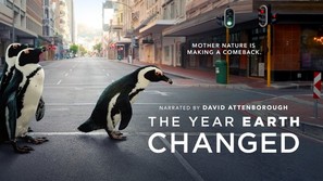 The Year Earth Changed - Movie Poster (thumbnail)