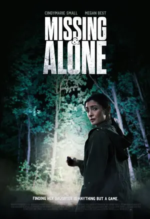 Missing and Alone Poster