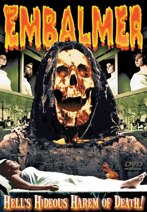 Il mostro di Venezia Cover